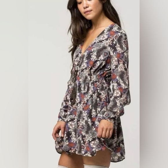 Free People Long Sleeve Stealing Fire V-neck Button Loop Bodice A-line Dress - Picture 5 of 12